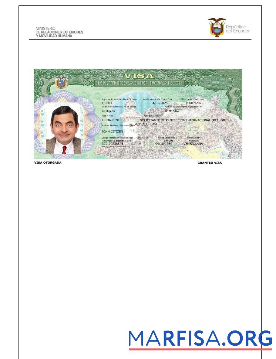 Printable Ecuador travel visa template in Word and Pdf formats, version 3